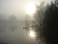 Суха Гомільша з panoramio.com