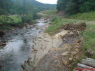 Лужки з panoramio.com