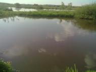 Кропивна з panoramio.com