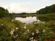 Костянтинівка з panoramio.com