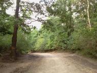 Гірка Полонка з panoramio.com