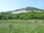 Каштанове з panoramio.com