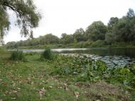 Шестовиця з panoramio.com