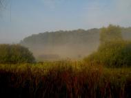 Макарове - Останні фото