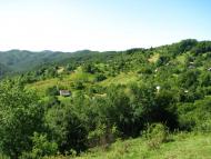 Угля з panoramio.com