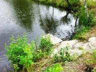 Липівка з panoramio.com