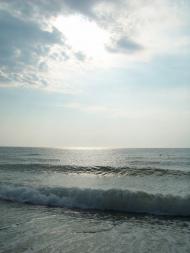 Грибівка з panoramio.com