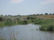 Широчани з panoramio.com