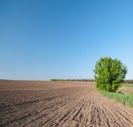 Гулі - Останні фото