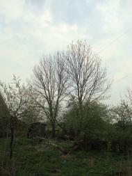 Дроздні з panoramio.com