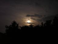 Пустовійтове з panoramio.com