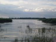 Бехтери - Останні фото