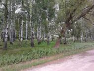 Слоут з panoramio.com