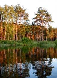 Затишшя з panoramio.com