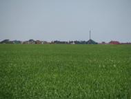 Грибівка з panoramio.com