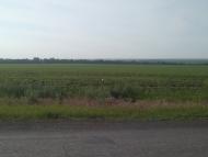 Костянтинівка - Останні фото