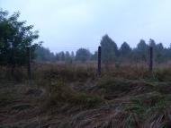 Карпилівка з panoramio.com