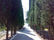 Сонячногірське з panoramio.com