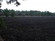 Раухівка з panoramio.com
