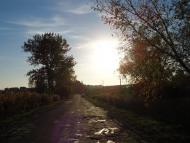 Куликів з panoramio.com