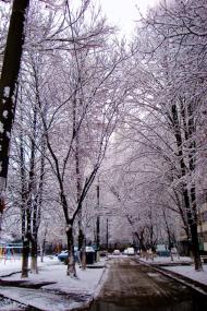 Матвіївка з panoramio.com