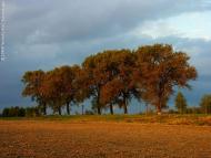 Хоменкове - Останні фото