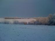 Мусіївка з panoramio.com