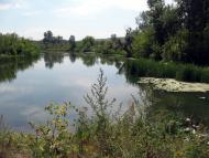 Букине з panoramio.com