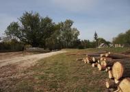 Деревки з panoramio.com