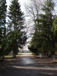 Григорівка з panoramio.com