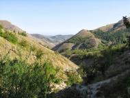 Зеленогір'я з panoramio.com