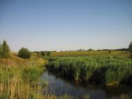 Григорівка з panoramio.com