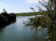 Червоний Кут - Останні фото