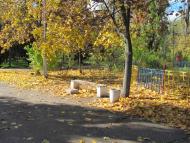 Менжинське з panoramio.com