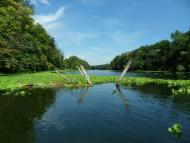 Коропове з panoramio.com