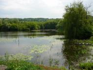 Ободівка з panoramio.com