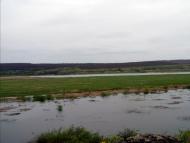 Бузьке - Останні фото