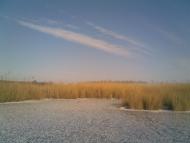 Садки з panoramio.com