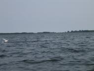 Любохини - Останні фото