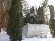 Десна з panoramio.com