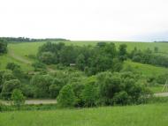 Поляна з panoramio.com