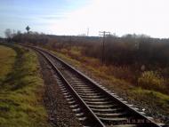 Липник з panoramio.com