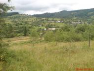 Лужки з panoramio.com