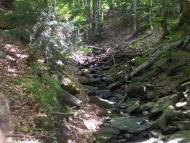 Лужки з panoramio.com