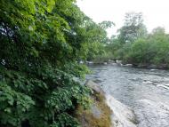 Дмитренки з panoramio.com