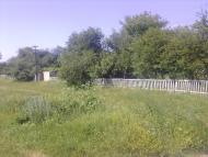 Безкровне з panoramio.com