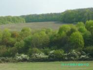 Люботин з panoramio.com (ч.2)