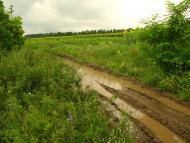 Нагоряни - Останні фото