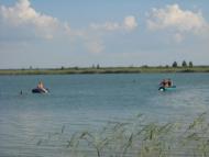 Тристень - Останні фото