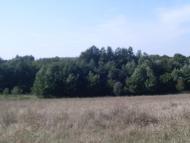 Розівка з panoramio.com
